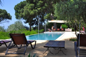 Casa Strelizie Terrasini